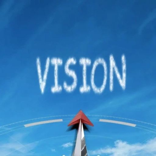 vision